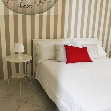 Guest house Domus Senior *