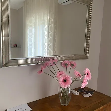 Guest house Domus Senior