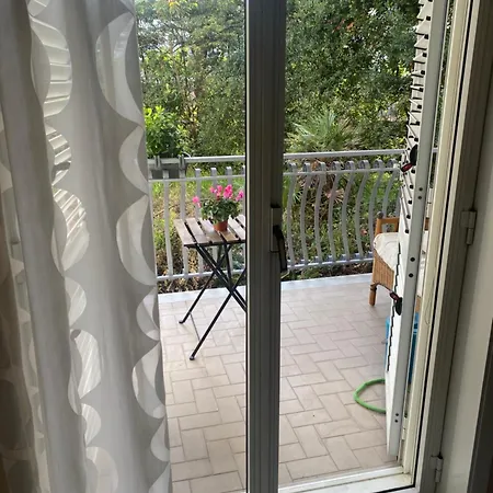 Guest house Domus Senior *